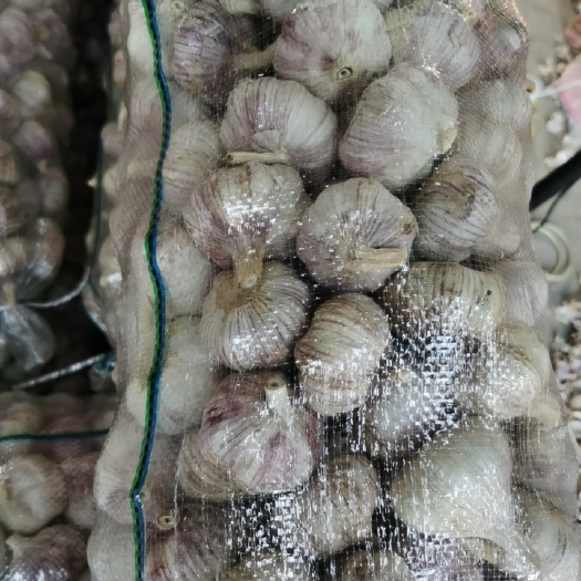 金乡县大蒜，大蒜头，大蒜子，莲花蒜，太空大蒜，紫皮大蒜，精品大蒜