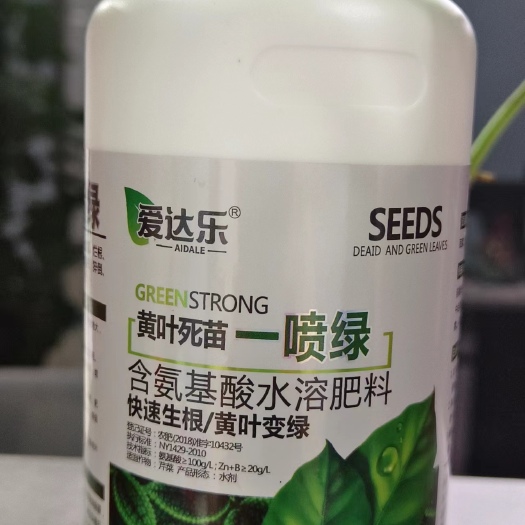 新郑市黄叶死苗一喷绿