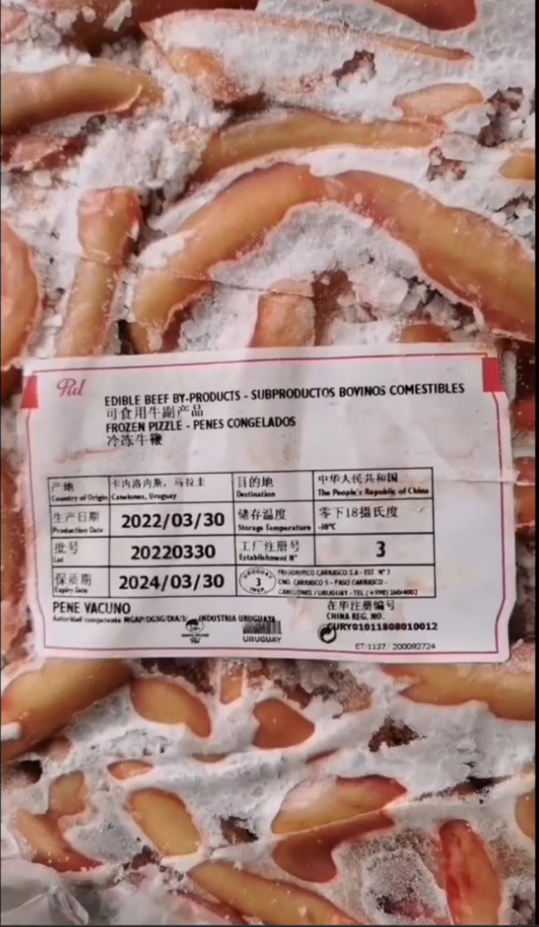 精品牛鞭，品质超好