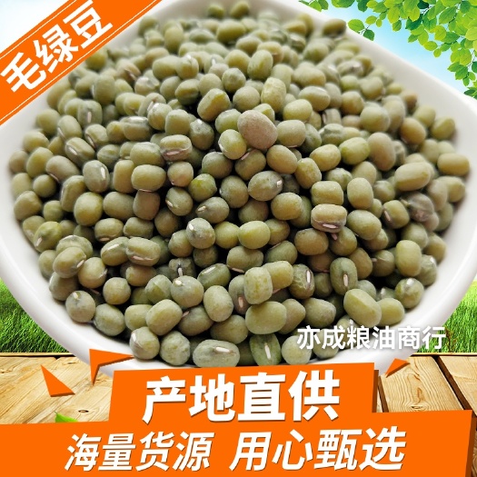 临沂毛绿豆大中小颗粒绿豆笨绿豆新货绿豆24.75kg