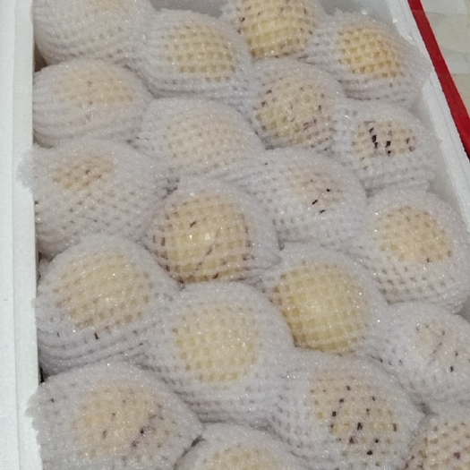 石林县大果