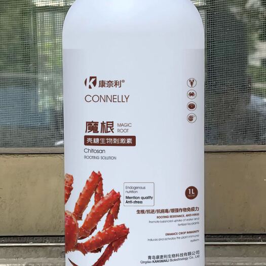 寿光市摩根