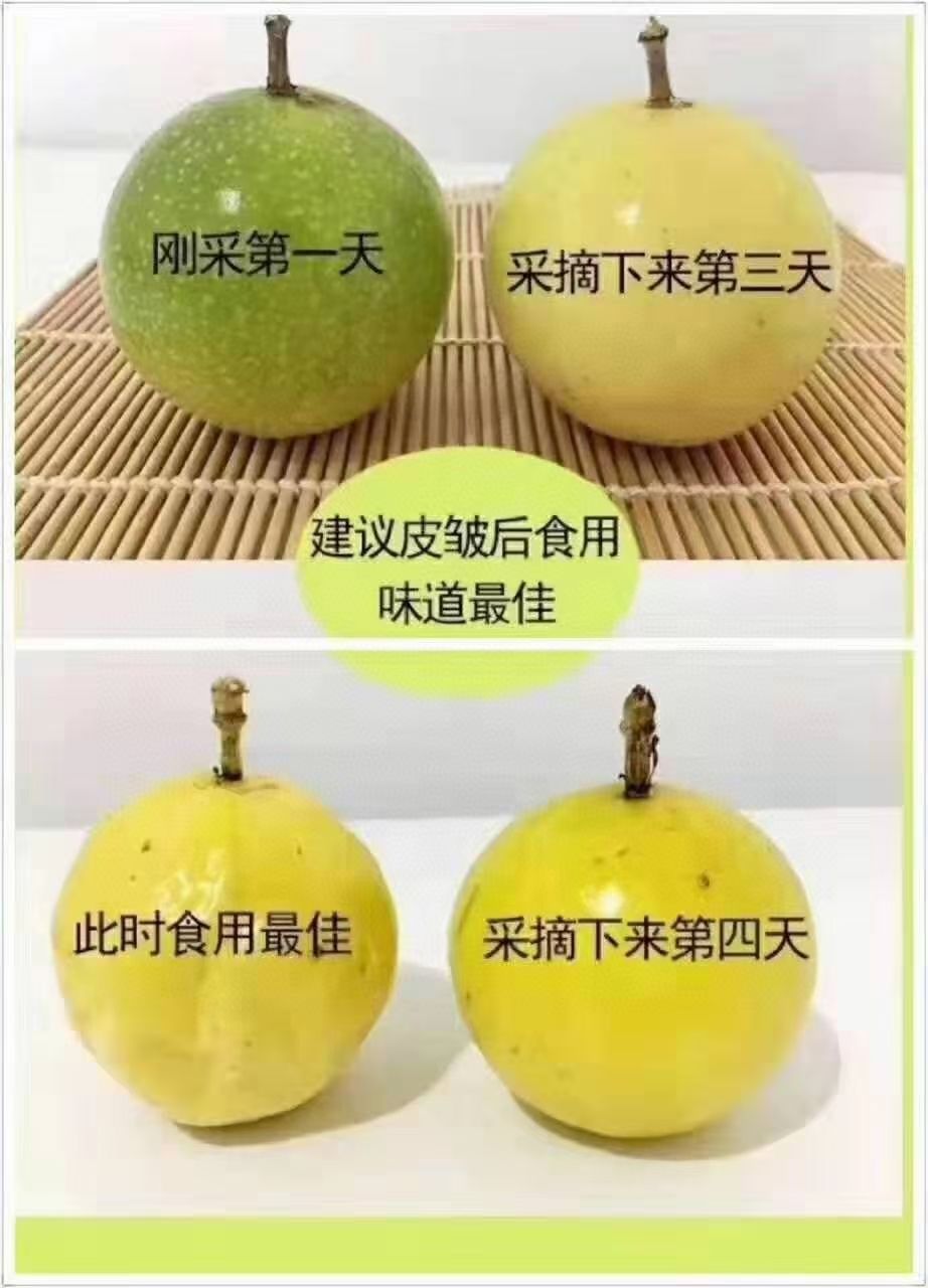 广西钦蜜9号甜黄金百香果新鲜水果现摘现发一件代发批发包邮