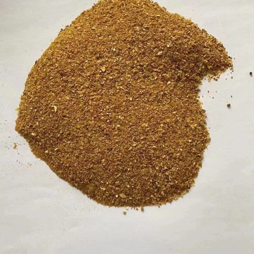 广州玉米酒糟干粉