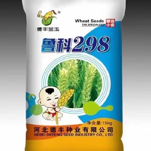 南宫市小麦种子