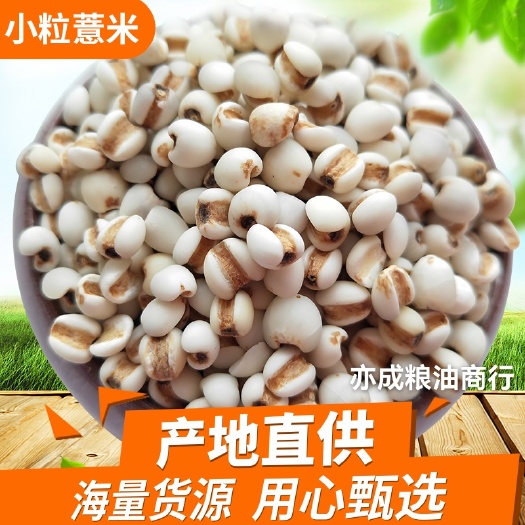 临沂薏米小粒薏仁米薏米仁苡仁杂粮批发25kg薏仁