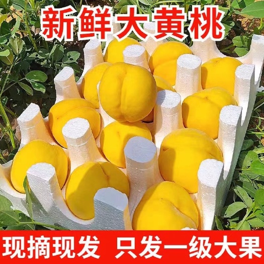 蒙阴县山东锦绣黄桃纯甜黄毛桃罐头桃黄桃应季桃子五斤包邮