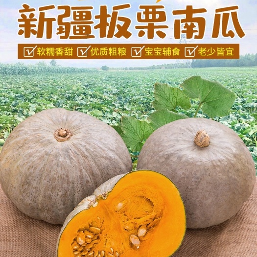 新疆板栗南瓜新鲜沙漠金丝老丑南瓜特色农产品蔬菜