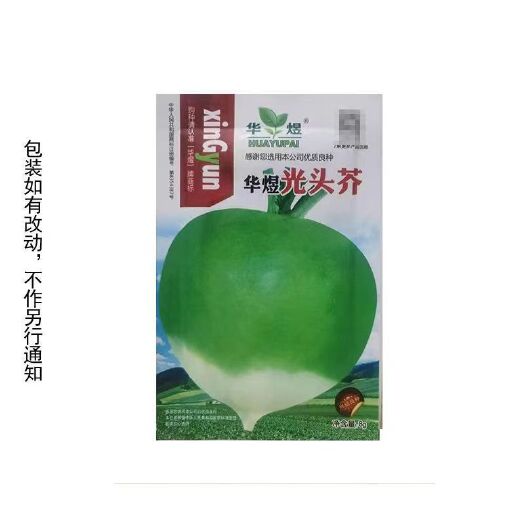 邵东市四川光头芥菜种子 疙瘩辣 腌咸菜专用大头菜 四季都可种蔬菜种