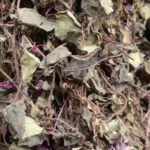 玉林长期供应｛风柜斗草｝可批量可零售量大从优【包邮】
