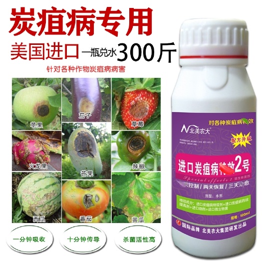 寿光市炭疽病辣椒草莓芒果番茄花卉香蕉黄瓜炭疽专用微生物菌剂