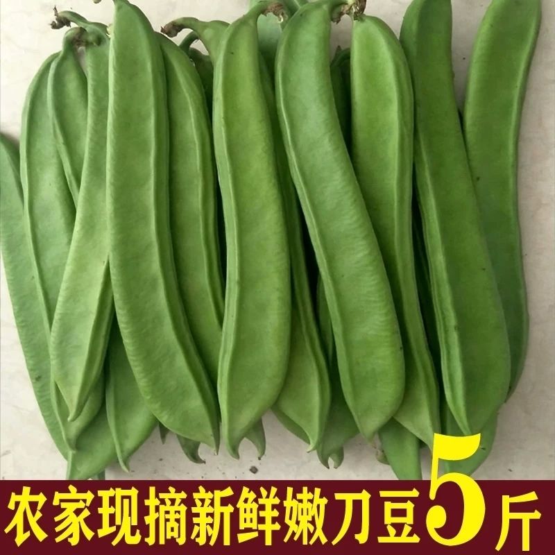 丰城市【超实惠5斤包邮】刀豆  新鲜农家刀豆  嫩刀豆