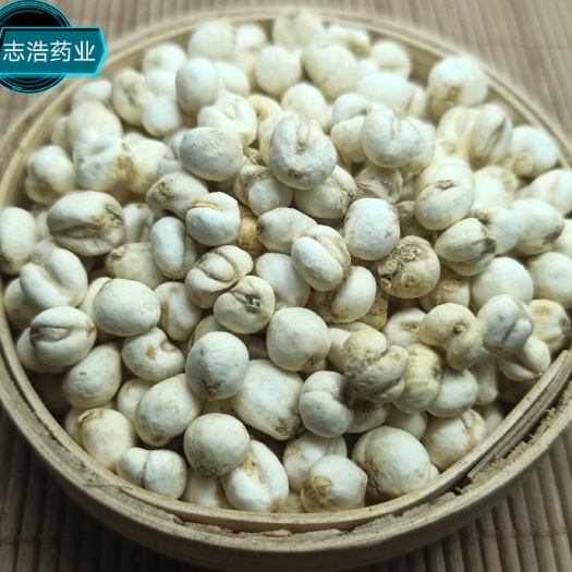鄄城县豆贝 欢迎选购 各种中药材养生花茶批发 地道药材 诚信经营
