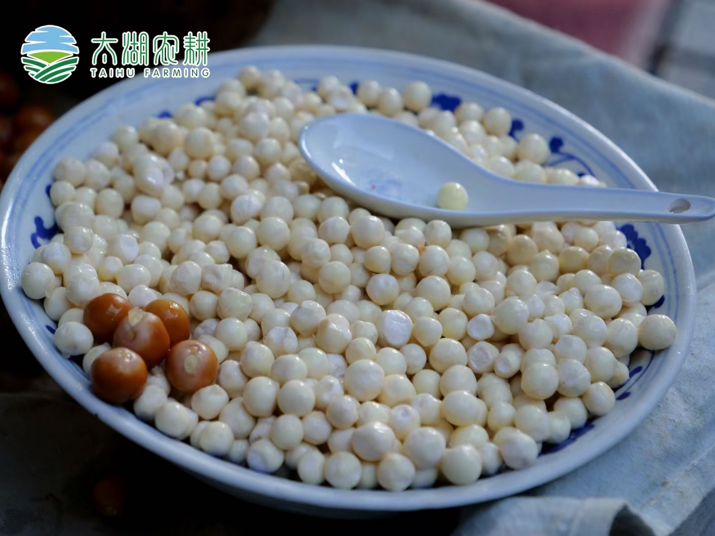 苏州苏州鸡头米（芡实）芡实，苏州水八仙