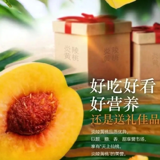 炎陵县炎陵黄桃锦绣黄桃果园采摘