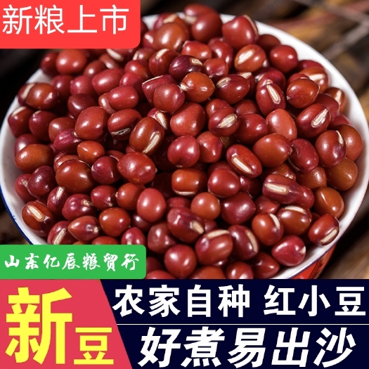 红小豆 大粒 东北大红豆 现货食品原料 蜜豆原料大量批发