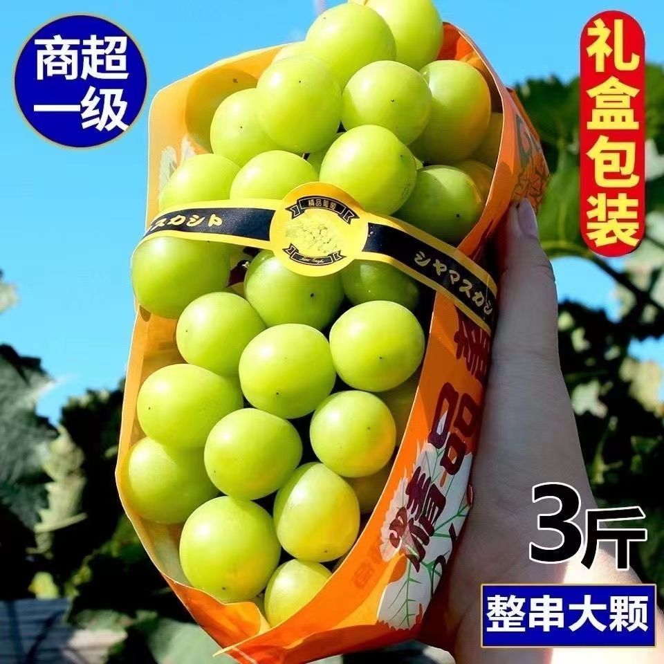 大荔县【新品上市】晴王阳光玫瑰葡萄大量供应，自家果园100多亩