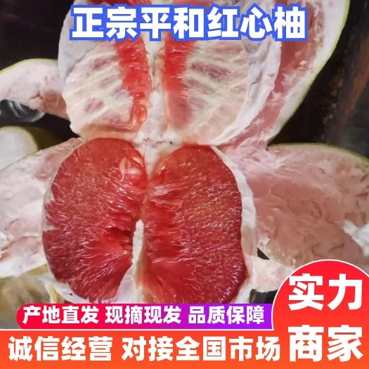 平和县红心柚 价格便宜 产地直发（刻字可以预定）