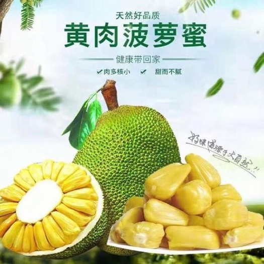 海口海南黄肉干包菠萝蜜一件代发 优质菠萝蜜，一件代发，对接各平台