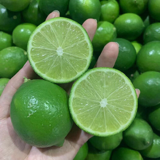新鲜无籽青柠檬无籽柠檬皮薄多汁，奶茶店用品