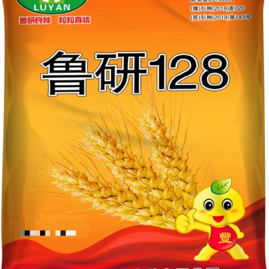 巨野县小麦种子  鲁研128矮秆大穗，抗病，抗倒，节水抗旱。