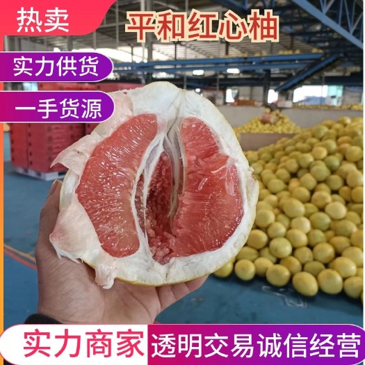 平和琯溪蜜柚 红心柚 三红柚 柚子 产地直发