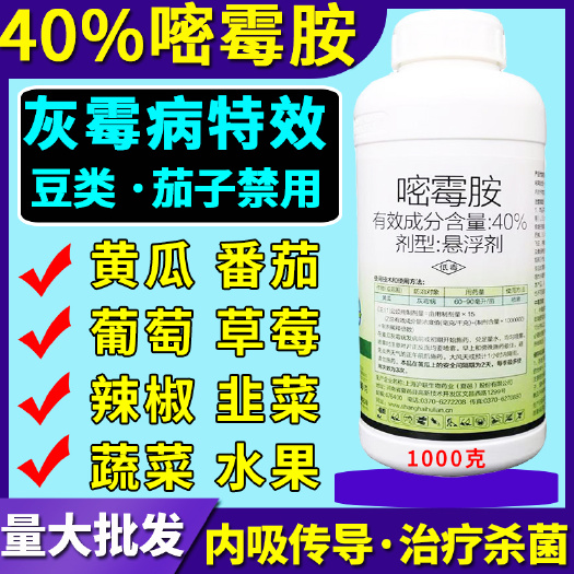 天门市沪联灰飞40%嘧霉胺葡萄黄瓜草莓番茄灰霉病专用农药杀菌剂批发