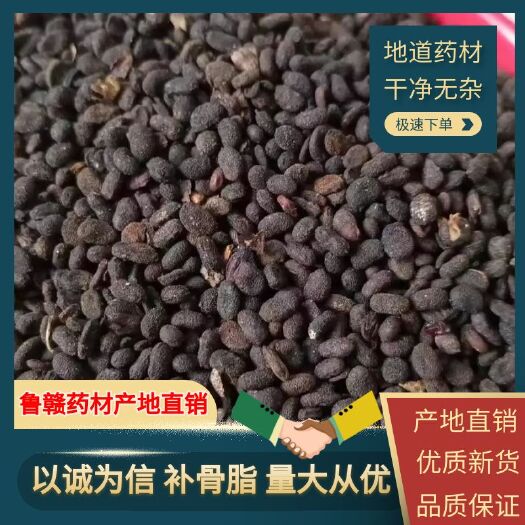 补骨脂，破故纸，婆固脂，精选中药材，量大从优
