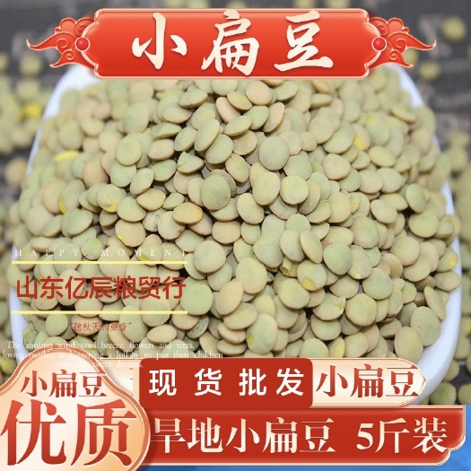 新货小扁豆 精选绿扁豆小豌豆 甘肃小扁豆 兵豆 五谷杂粮现货