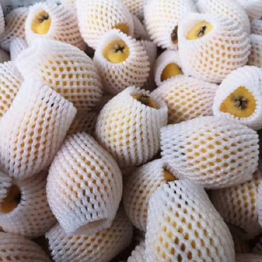杭州水果网套枇杷包装泡沫桃子蜜梨防震网兜花菜无花果包装鸡蛋防摔桔