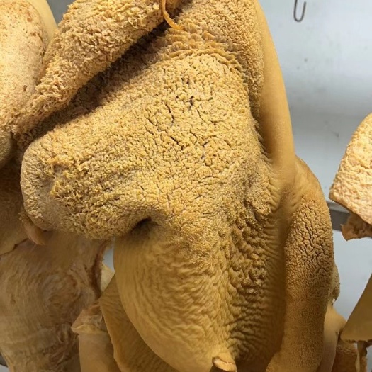 全熟五香卤牛肚，无碱发纯卤的可以凉拌，可以直接食用，直接卖！