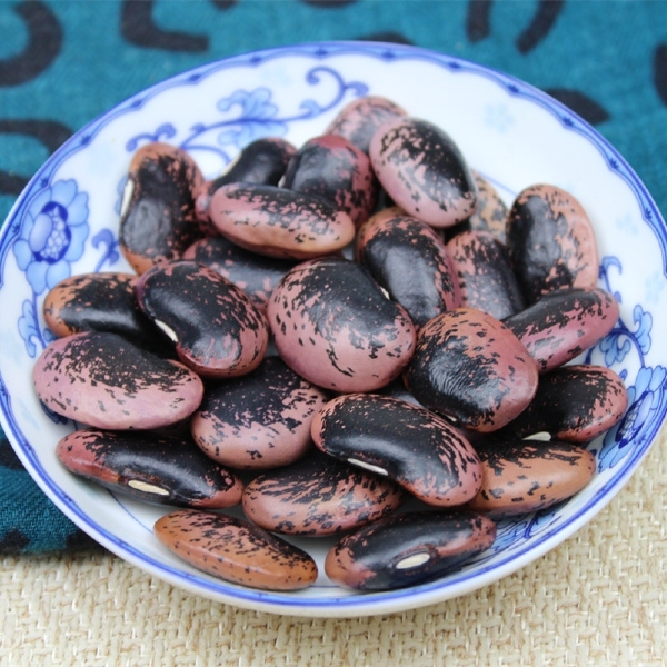 新货农家大黑花芸豆肾豆大花豆牛眼豆五谷杂粮黑芸豆 熬粥 食品