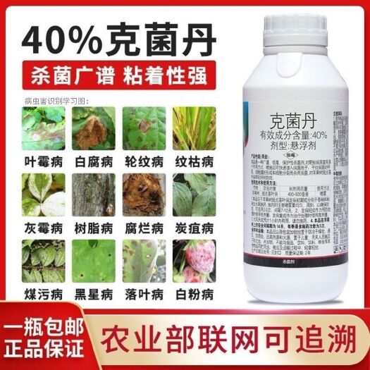 郑州40%克菌丹炭疽病灰霉病白粉病纹枯病叶斑腐烂病果树蔬菜杀菌剂