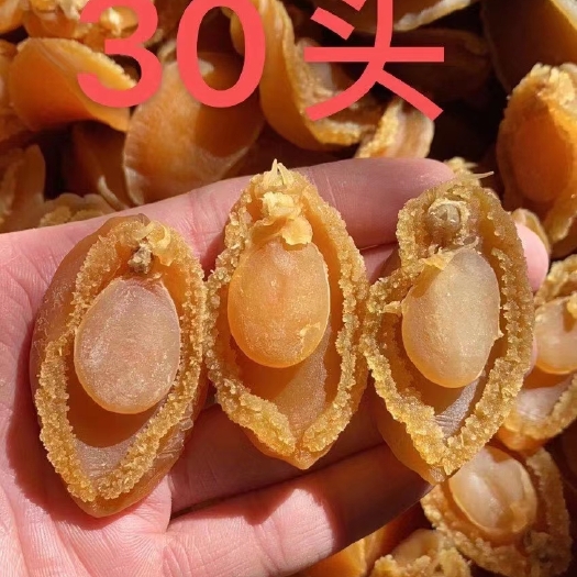 广州足干靓大连鲍鱼干规格：30~500头