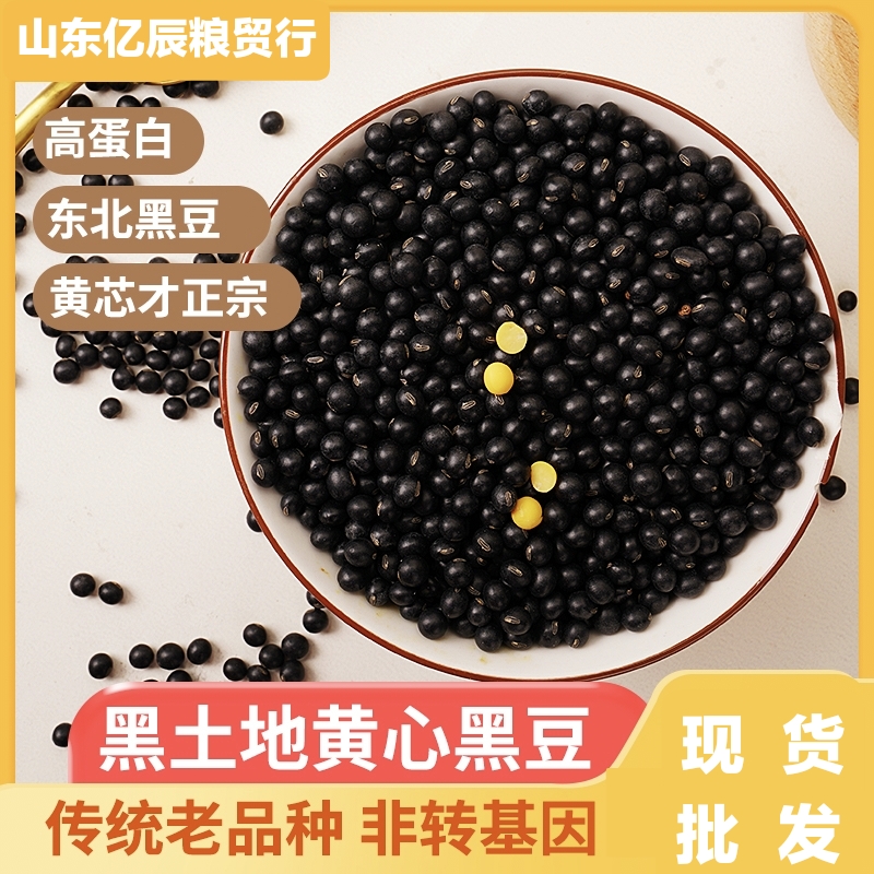 临沂黑豆黄仁 黑豆 厂家直销 青仁 黄仁 炒货原料 药材原料