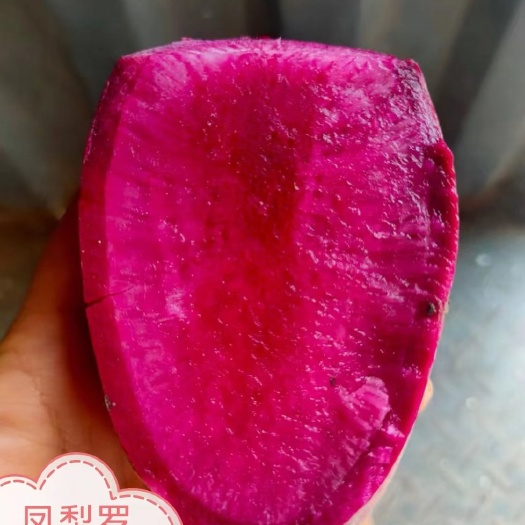 凤梨红萝卜种子，口感甜翠，红皮红肉，日本种子，杂交种
