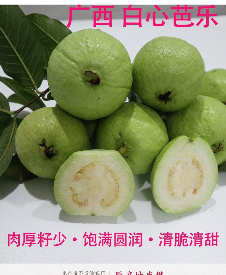广西现摘白心芭乐番石榴 新鲜热带当季5斤装