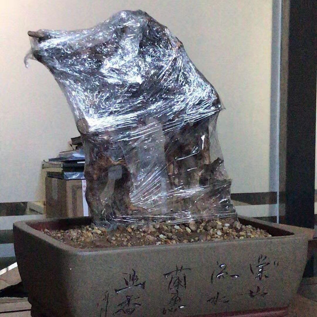 黄荆盆景老桩,练手桩,舍利镂空精品老桩,黄荆生桩盆景