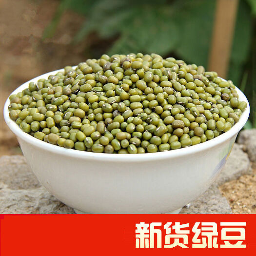 临沂绿豆 现货批发东北绿豆发芽 熬粥优质绿豆量大从优袋装50斤