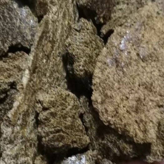 定远县出售青饼，黄饼，菜粕