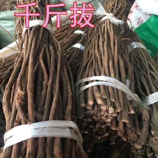亳州【热销】千斤拔干净无杂货支持药检代磨粉欢迎订购一件代发包邮