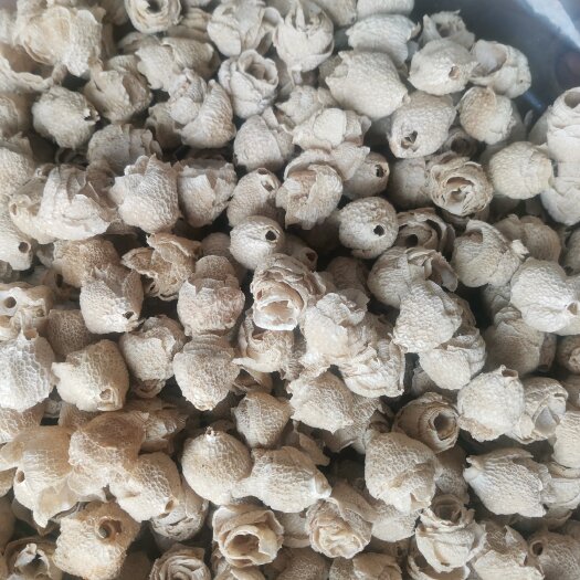 安龙县竹毛肚