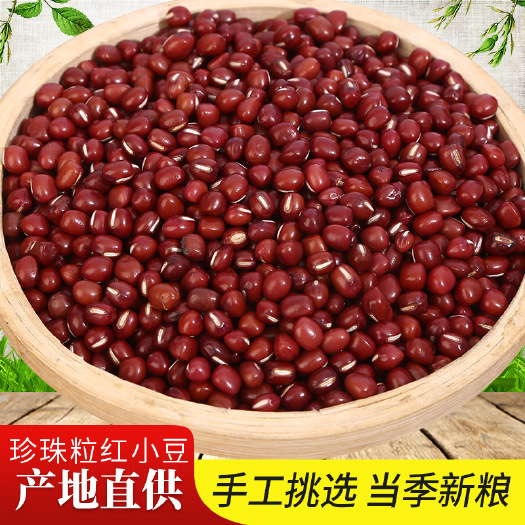 临沂红小豆  现货批发东北珍珠粒红小豆 五谷杂粮袋装50斤