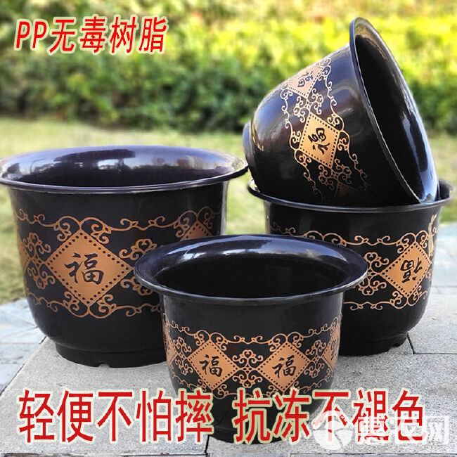 塑料花盆花卉盆栽家用花盆加仑盆