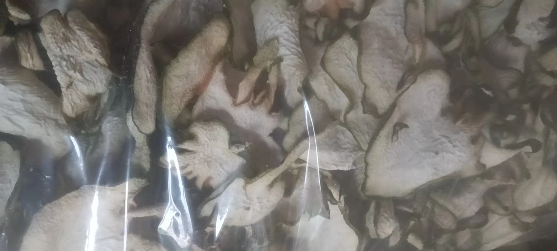 弗手