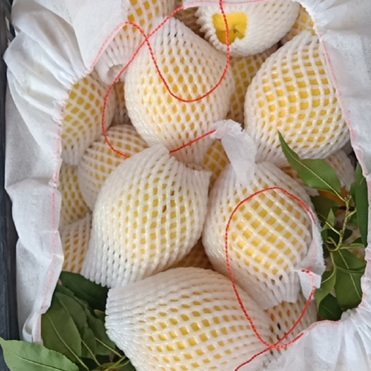 炎陵县炎陵黄桃，香、脆、甜
