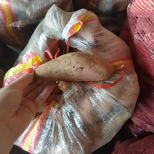 襄樊红心龙九红薯，皮红颜色好，条形好看，货品新鲜