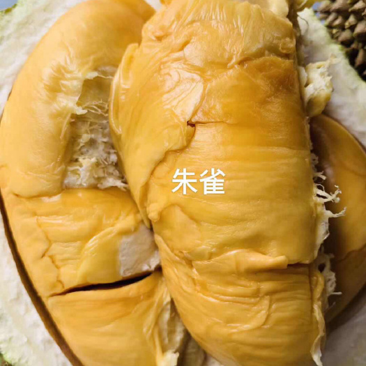 迷你小黑刺D13朱雀榴莲，又有梦中情人和金包之称每个五房肉