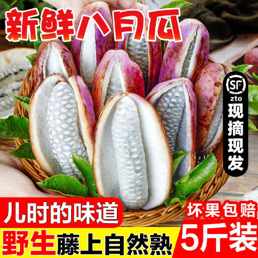 兴义市八月瓜野生神奇果八月炸孕妇水果支持一件代1-5斤