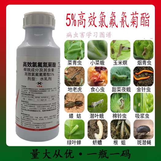 郑州5%高效氯氟氰菊酯   登记 甘蓝菜青虫 杀虫剂